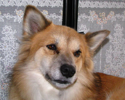 �������������Ǌp������������