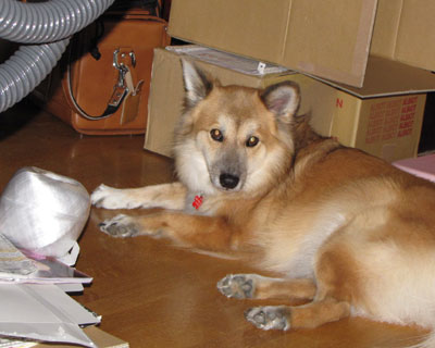 ���N�͔�������������