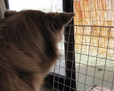 �x�����_�𗷂���C�������ɓB�t��