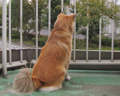 �L��������Ǝp���𐳂�