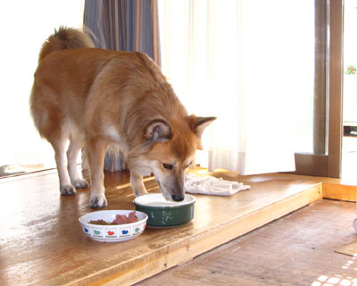 �H�~����