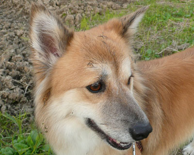 ��̃V�[�Y��