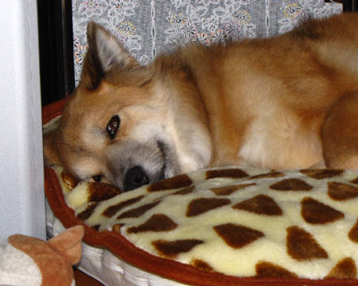 �ѕz���o����