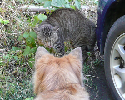 �L�͂����@����������