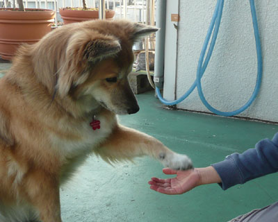 �K�L�ɂ��₢�₨��