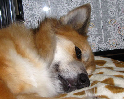 �悭����Ə����オ�o�Ă���