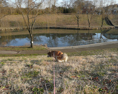 �}�Ζʂ��D��