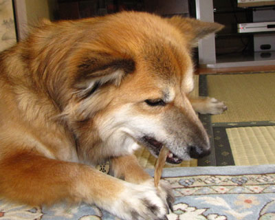 �؎��͋�肾����