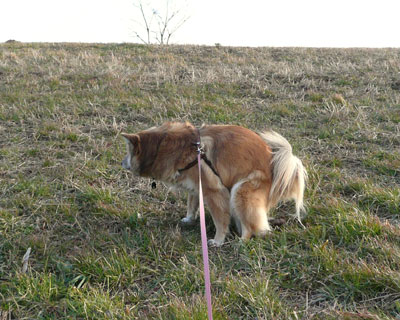 ���͂������������Ⴂ