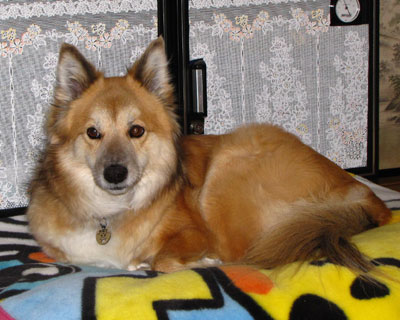 �s�����Ȋ�