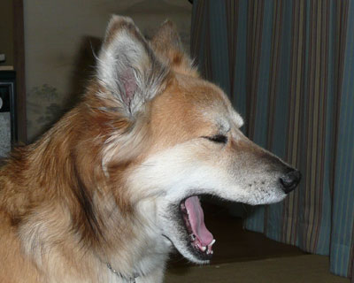 �����ѓr��