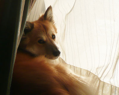 �i����̂ŏo���Ă��炦�Ȃ�