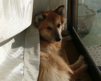 �����O�ɏo�Ă݂�