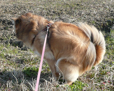 ���o���A�ǂ�����