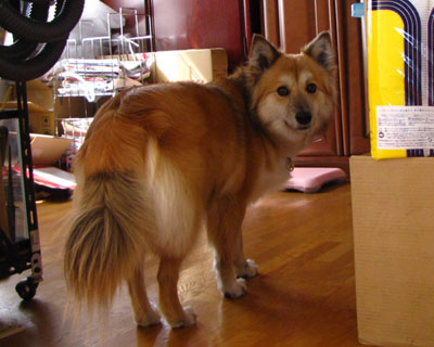 �����ۂ�������