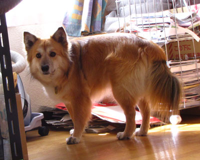 ���܂ň�������ł݂�