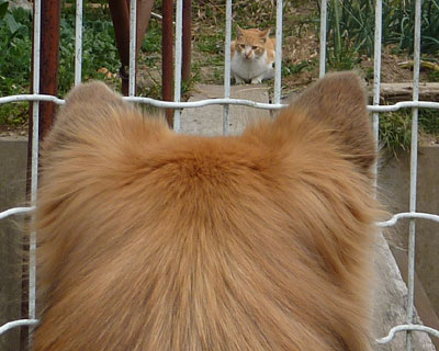 �˂�����E�E�E