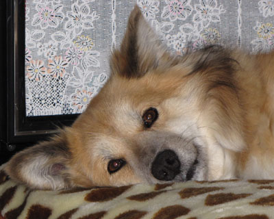 �ɂ������