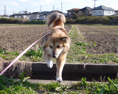 �ǂ����Ă����̍a�Ɋ���Ȃ�