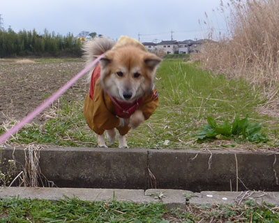 �ߑ�������Ƃ܂��܂����C����