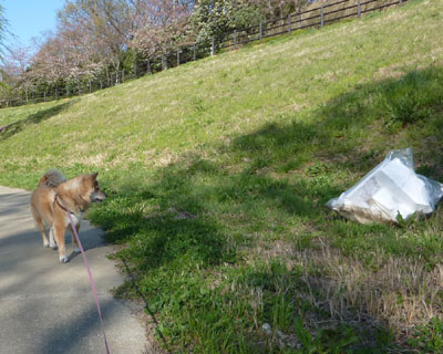 �S�~�����킩����