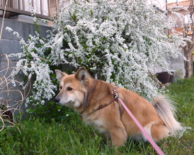 ���N�P�჆�L���i�M�Ǝ�