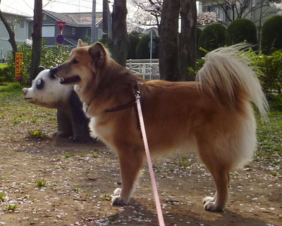 �p���_�����A�炱�킢��