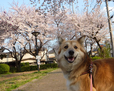 ���ǂ����Ǎ��Ǝ�