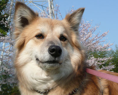 ����ς蒩���������