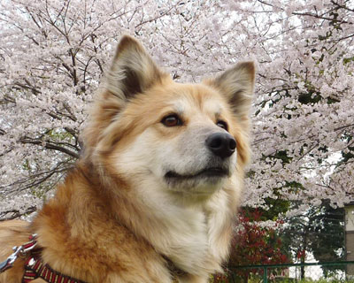 ���N�̍��͈�C�ɏI�������