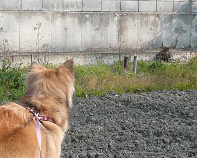 �˂������I