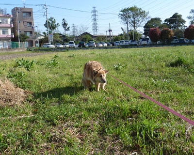 �Ƃɂ�������������