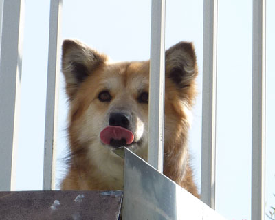 �r���ő��ɋC�����ꂽ