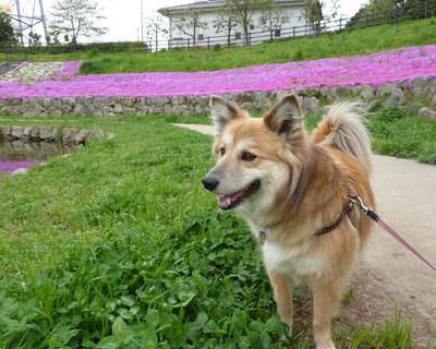 �V�o�U�N���Ǝ�