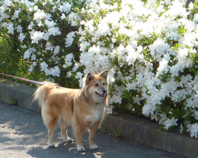 �c�c�W�Ǝ�