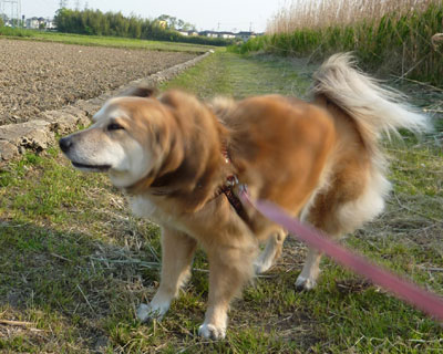 �ʘH������ƕ֒ʂ��E�E�E