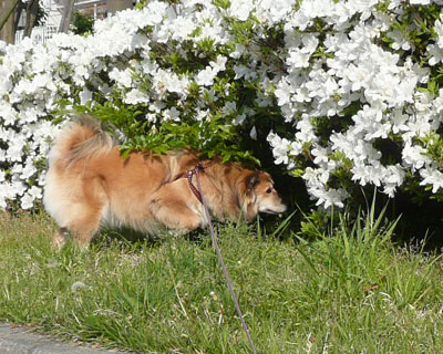 �悭�L������̂Ń`�F�b�N�͌������Ȃ�