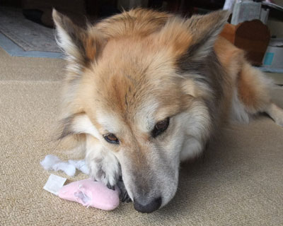 �v�s�v�s�V��