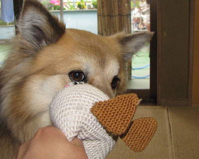 ����A���������Ă��炨��