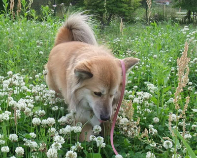 �Z�C�^�J�A���_�`�\�E������I��ł�