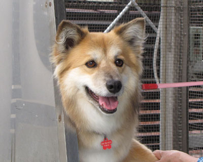 �U���̂��Ƃ͎�����Ă悭�@����