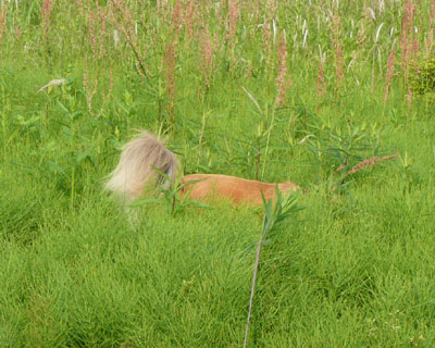 �L���������ȋC������