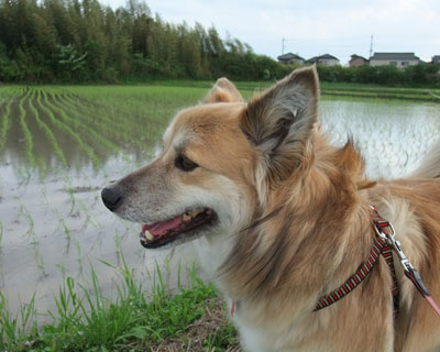 ��͏���������