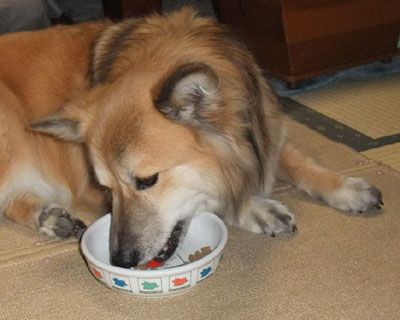 �H�ׂɂ���