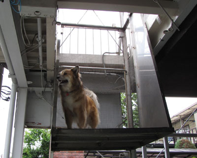 �������܁[