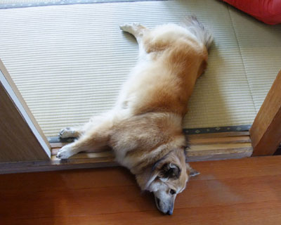 �������͂�����