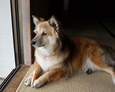 ��l�ɂȂ��Ă��K���K���͍D��