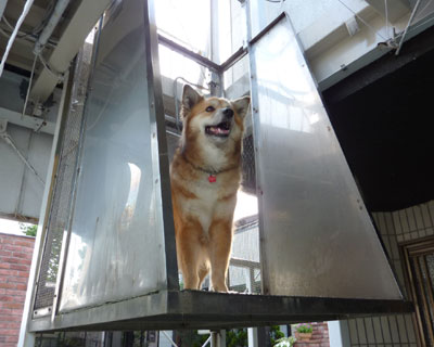 ���̏������������͈����z�����́H