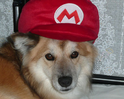 �C�ɓ���Ȃ�