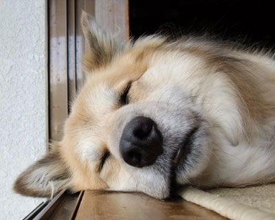 �O����`��͔얞�̂�������Ȃ���